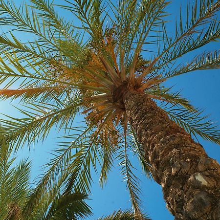 Kallitsakis Beach Платаньяс Экстерьер фото